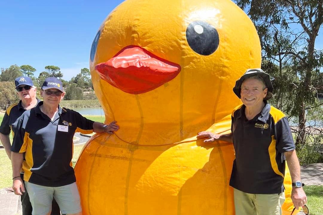 Aussie Day Duck Race 2025 Rotary Club of Morialta